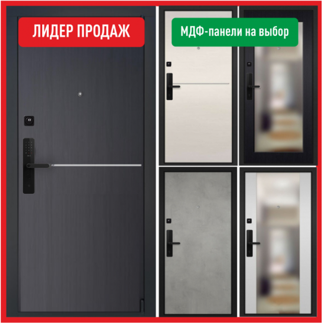 Умная входная дверь Sarbona